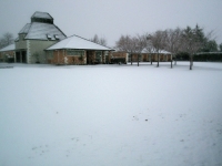 Back Lawn in Winter